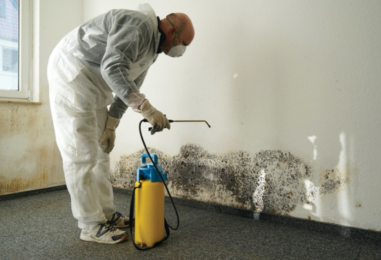 mold remediation 1 Fire/Water Damage Restoration Services