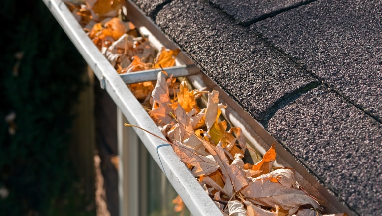 gutter-cleaning-cost